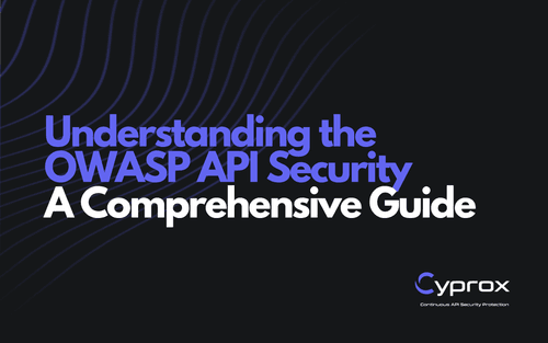 Understanding the OWASP API Security Top 10: A Comprehensive Guide