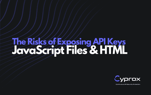 The Risks of Exposing API Keys in JavaScript Files and HTML Pages